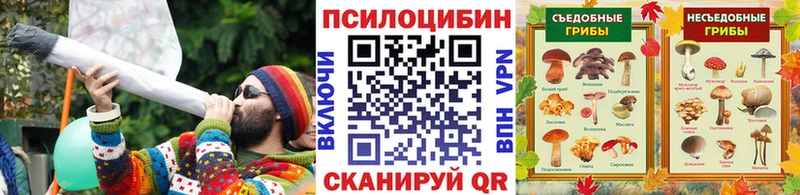 Купить где  Аткарск  Галлюциногенные грибы Magic Shrooms 
